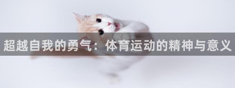 千亿国际官方正版app官方