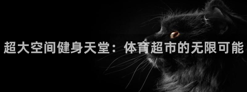 千亿国际官方正版app集团：超大空间健身天堂：体育超市的无限