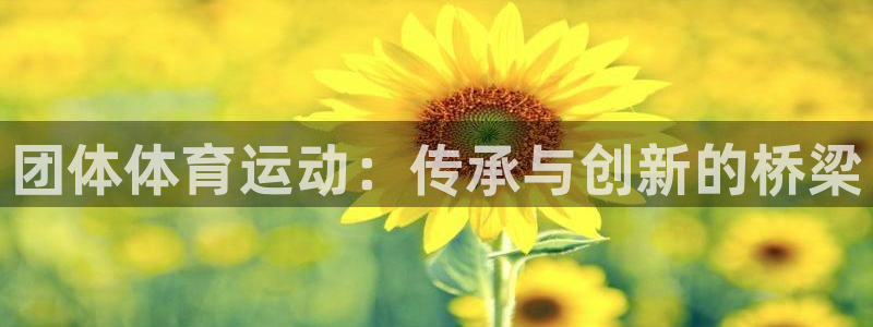 千亿国际官网下载招商电话号码是多少啊：团体体育运动：
