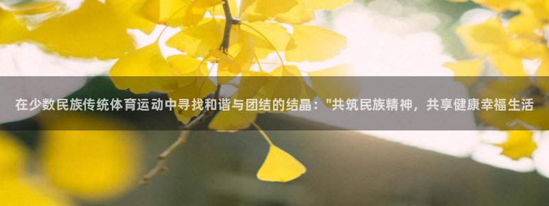 千亿国际官网下载招商电话：在少数民族传统体育运动中寻