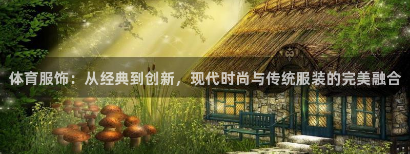 千亿国际官方正版app代理：体育服饰：从经典到创新，