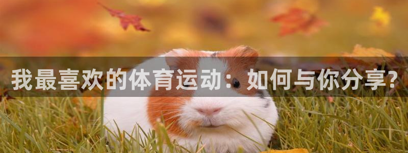千亿国际官网下载联系电话：我最喜欢的体育运动：如何与