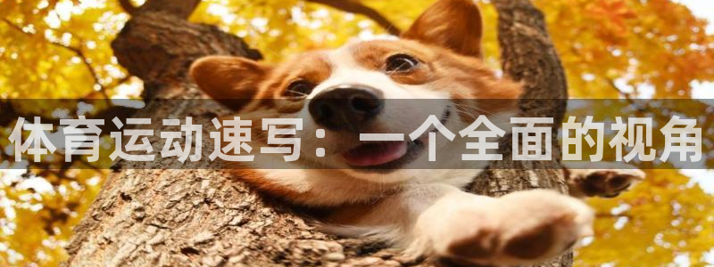 千亿国际官方正版app集团：体育运动速写：一个全面的