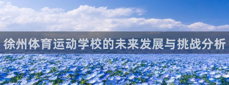 千亿国际官方正版app官方：徐州体育运动学校的未来发
