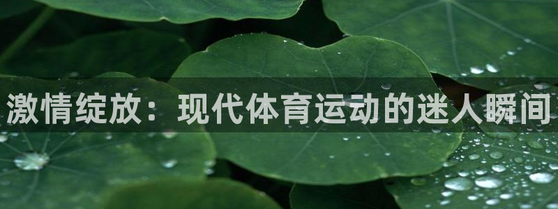 千亿国际官网下载平台注册要钱吗：激情绽放：现代体育运