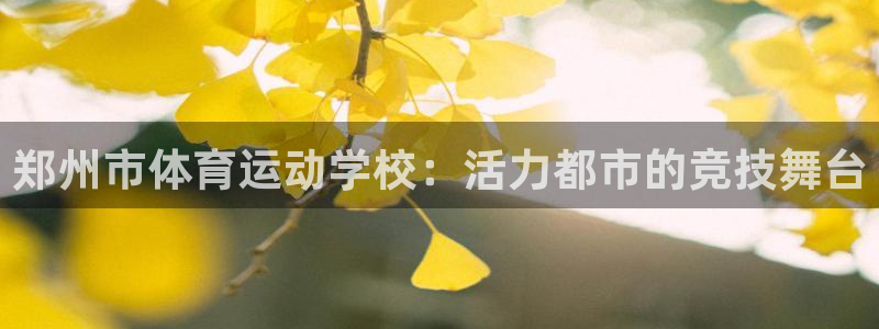 千亿国际官网下载平台是正规平台吗安全吗：郑州市体育运
