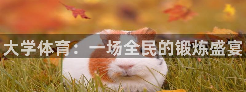 千亿国际官方正版app官网：大学体育：一场全民的锻炼