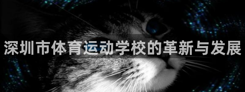 注册千亿国际官方正版app：深圳市体育运动学校的革新