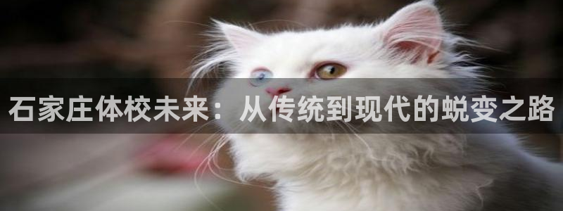 千亿国际官网下载招商电话是多少：石家庄体校未来：从传统到现代