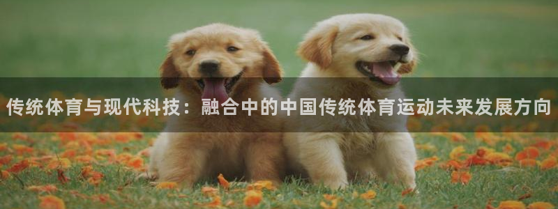 千亿国际官方正版app代理：传统体育与现代科技：融合中的中国