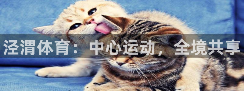 千亿国际官网下载平台注册流程图：泾渭体育：中心运动，