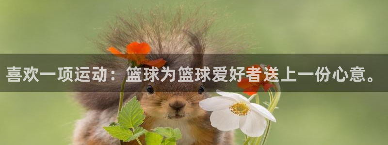 千亿国际官方正版app代理