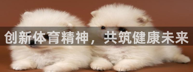 千亿国际官网下载平台注册要钱吗：创新体育精神，共筑健