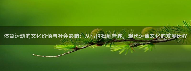 千亿国际官方正版app集团E.ON：体育运动的文化价值与社会