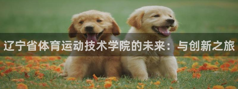 千亿国际官方正版app集团简介：辽宁省体育运动技术学院的未来