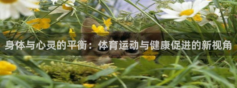 千亿国际官网下载招商电话地址查询：身体与心灵的平衡：体育运动