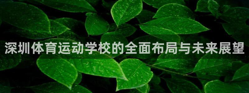 千亿国际官方正版app娱乐：深圳体育运动学校的全面布局与未来