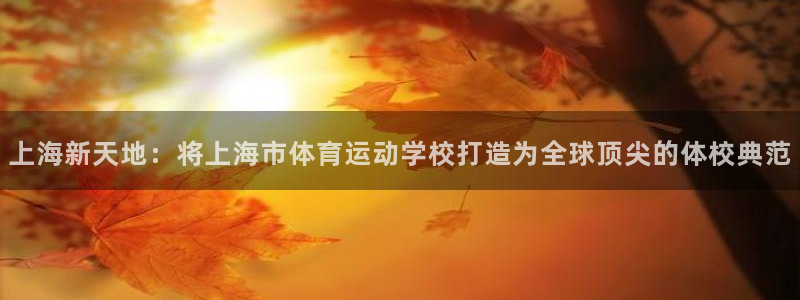 千亿国际官网下载官方客服电话：上海新天地：将上海市体