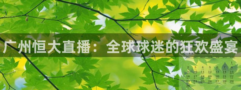咪咕视频在线观看直播：广州恒大直播：全球球迷的狂欢盛宴