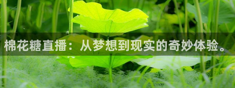 下载咪咕体育直播：棉花糖直播：从梦想到现实的奇妙体验。