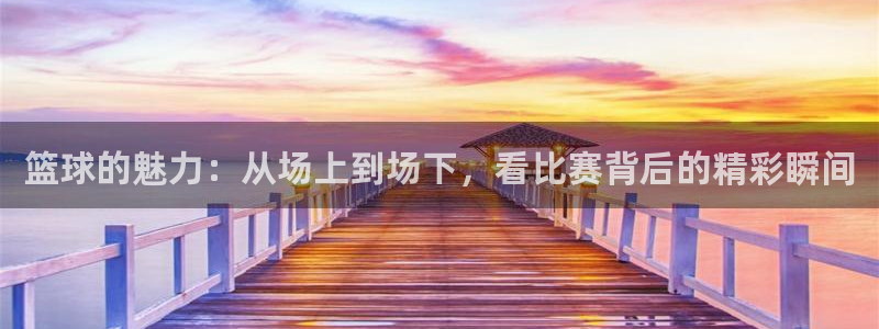 咪咕视频在线观看直播：篮球的魅力：从场上到场下，看比赛背后的精彩瞬间