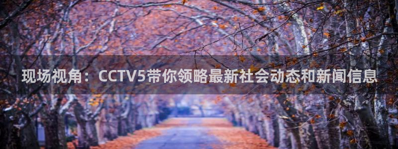 咪咕视频体育频道直播：现场视角：CCTV5带你领略最新社会动态和新闻信息