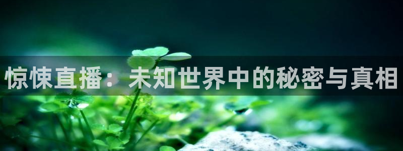 免费完整版咪咕视频：惊悚直播：未知世界中的秘密与真相